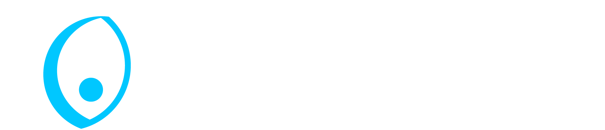 Vincent & Son Limited